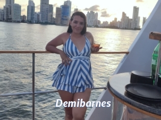 Demibarnes