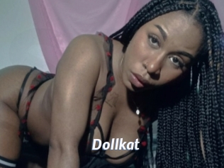 Dollkat