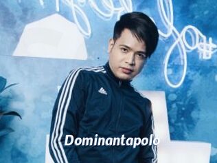 Dominantapolo