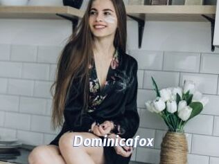 Dominicafox