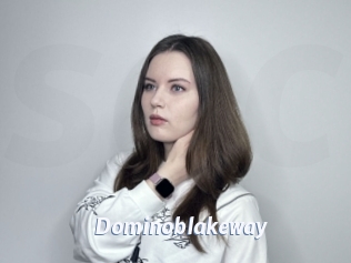 Dominoblakeway