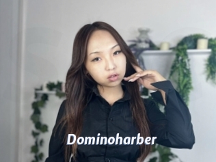 Dominoharber