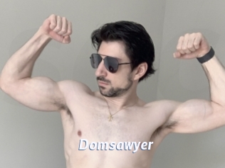 Domsawyer