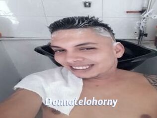 Donnatelohorny