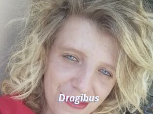 Dragibus