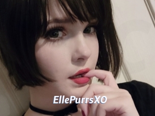 EllePurrsXO