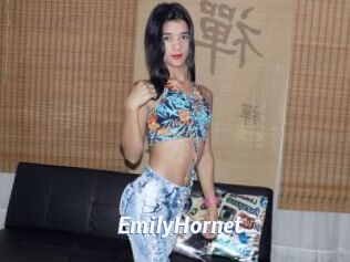 EmilyHornet