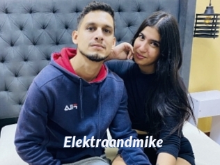 Elektraandmike