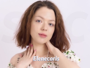 Elenecaris