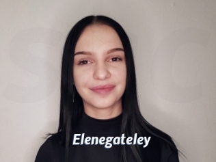 Elenegateley