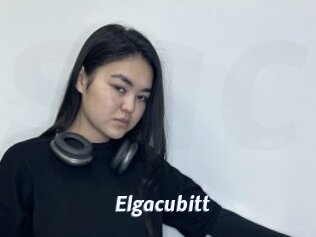Elgacubitt