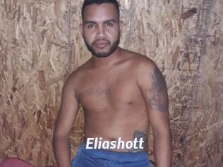 Eliashott
