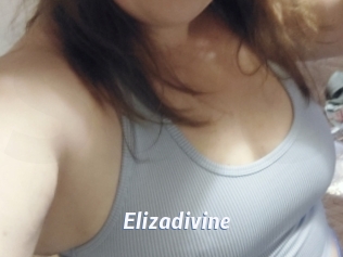 Elizadivine