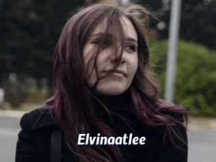 Elvinaatlee