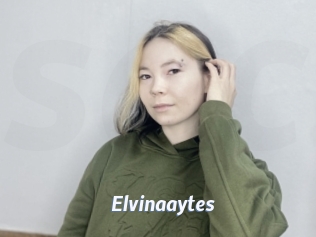 Elvinaaytes