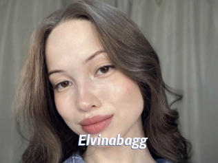 Elvinabagg