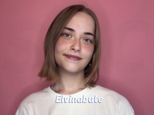 Elvinabute