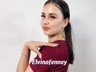 Elvinafenney