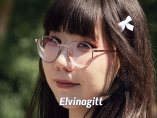 Elvinagitt