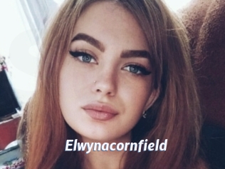 Elwynacornfield