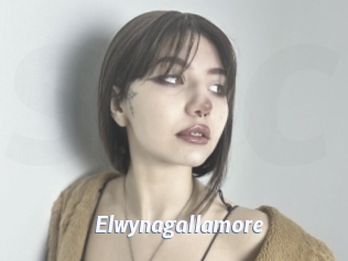 Elwynagallamore