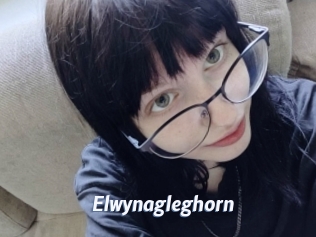 Elwynagleghorn