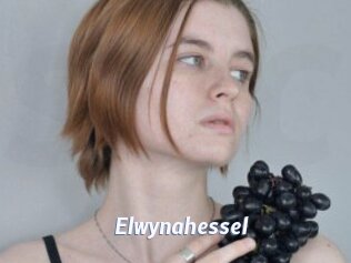 Elwynahessel