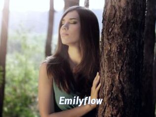 Emilyflow