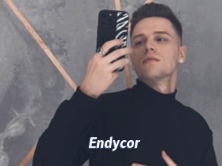 Endycor
