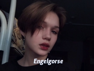 Engelgorse