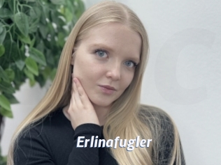 Erlinafugler