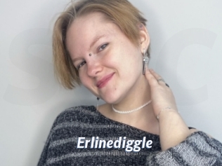 Erlinediggle
