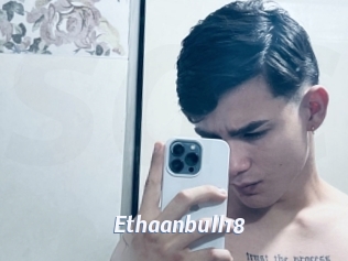 Ethaanbull18