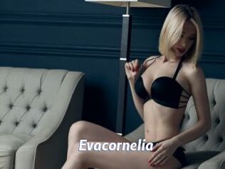 Evacornelia