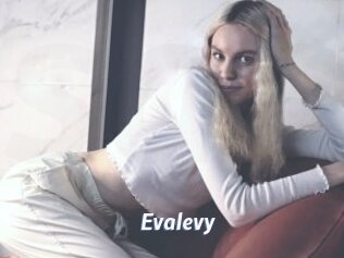 Evalevy
