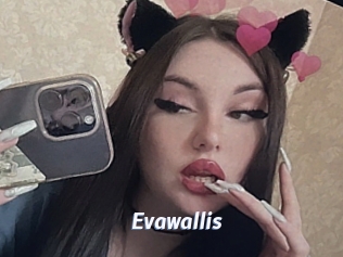 Evawallis