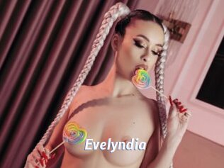Evelyndia