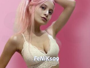 FeNiKs09