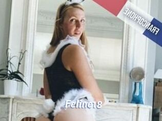 Feline18