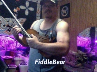 FiddleBear