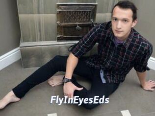 FlyInEyesEds