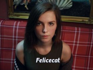 Felicecat