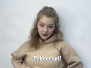 Felicecovil