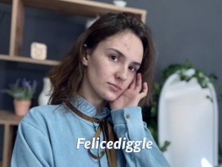 Felicediggle
