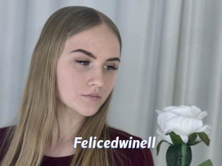 Felicedwinell