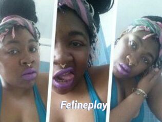 Felineplay
