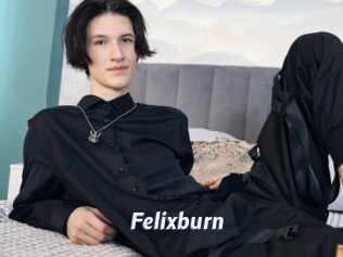 Felixburn