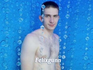 Felixgunn