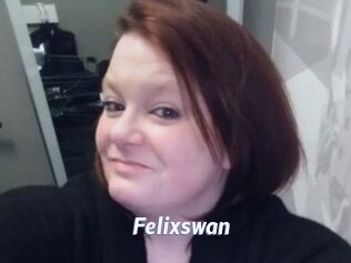 Felixswan