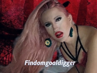 Findomgoaldigger